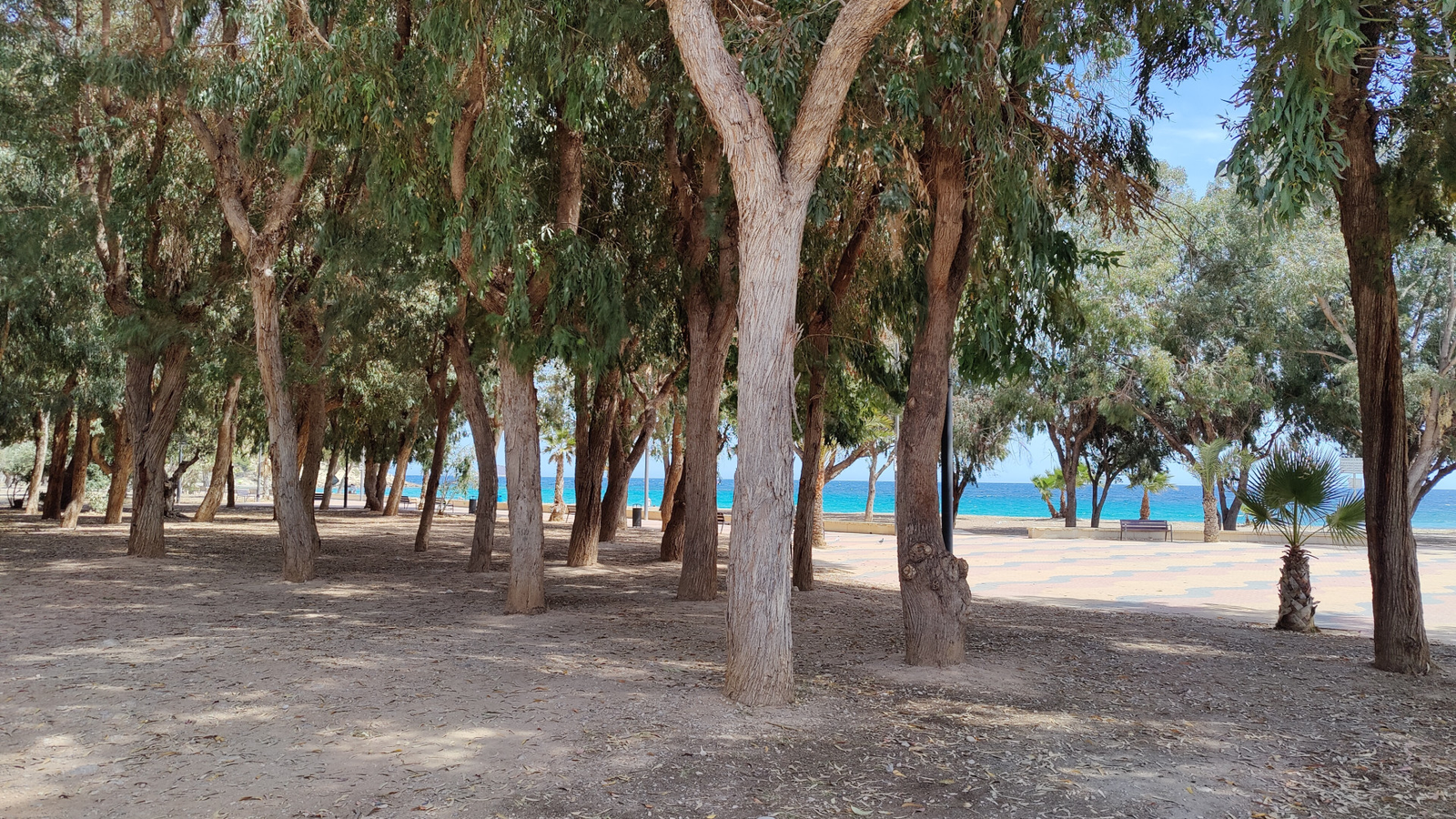 photo of Villa or house on Partida Torres Norte Urb, 11, 03570 La Vila Joiosa, Alicante, Spain