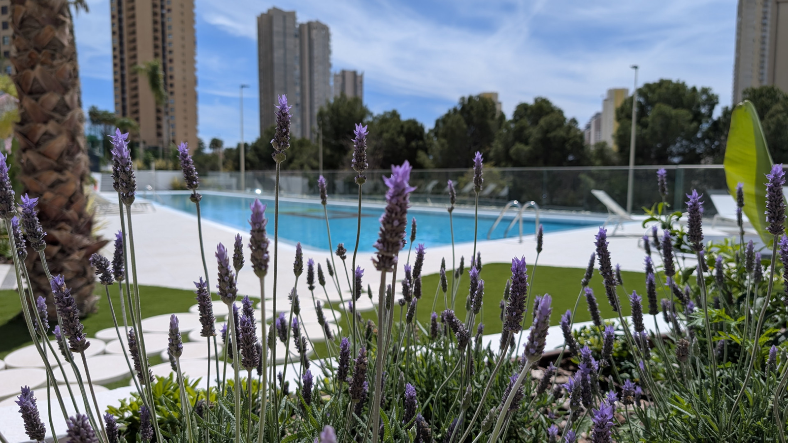 photo of Apartments on Calle Pdte. Adolfo Suárez, 14, 03502 Benidorm, Alicante, Spain