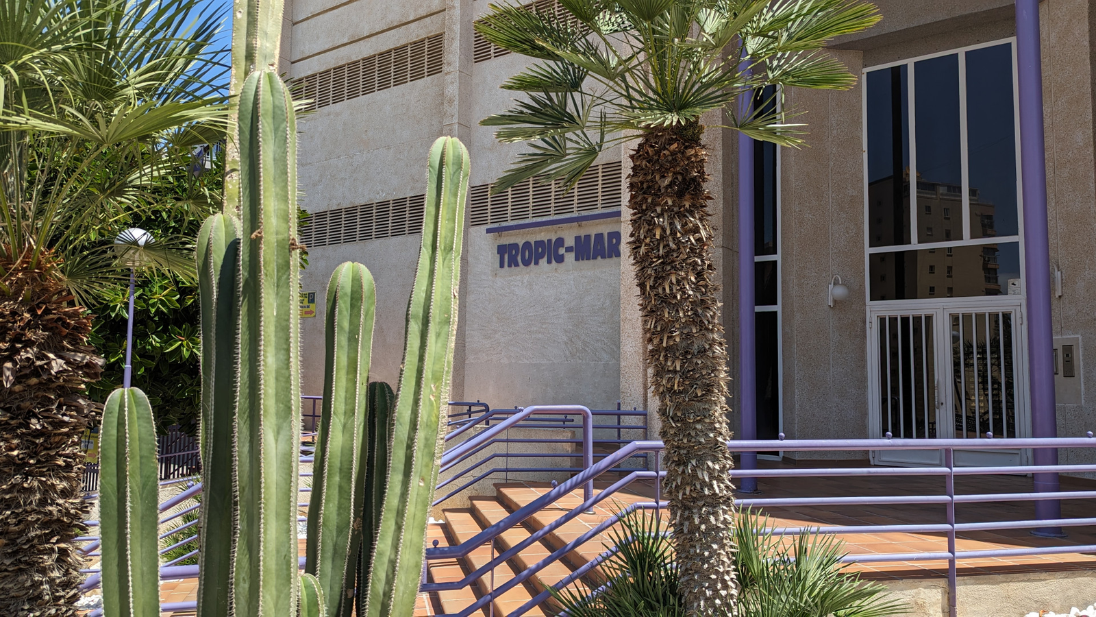photo of Apartments on C. de Bonn, 4, 03503 Benidorm, Alicante, Spain