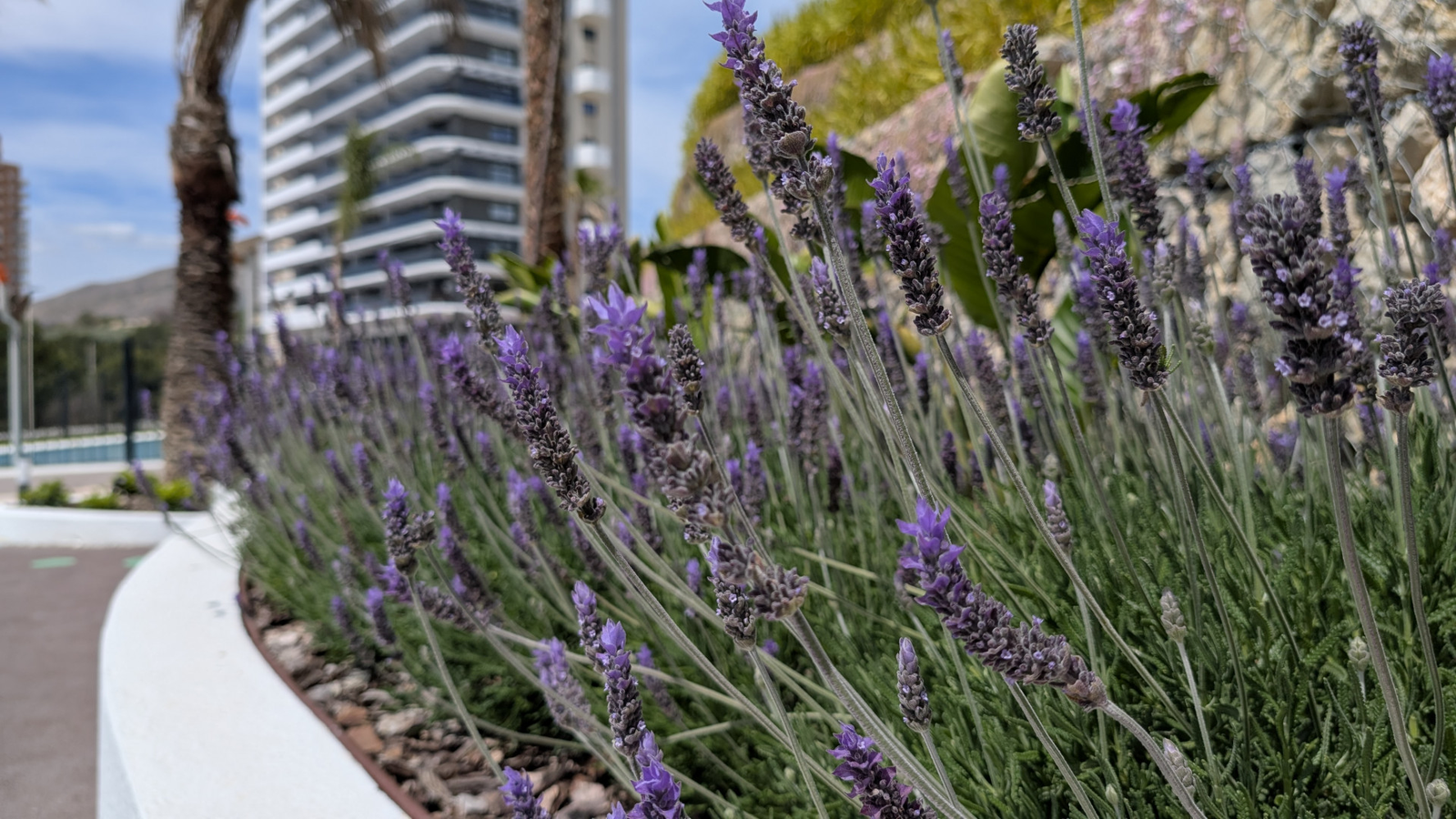 photo of Apartments on Calle Pdte. Adolfo Suárez, 14, 03502 Benidorm, Alicante, Spain