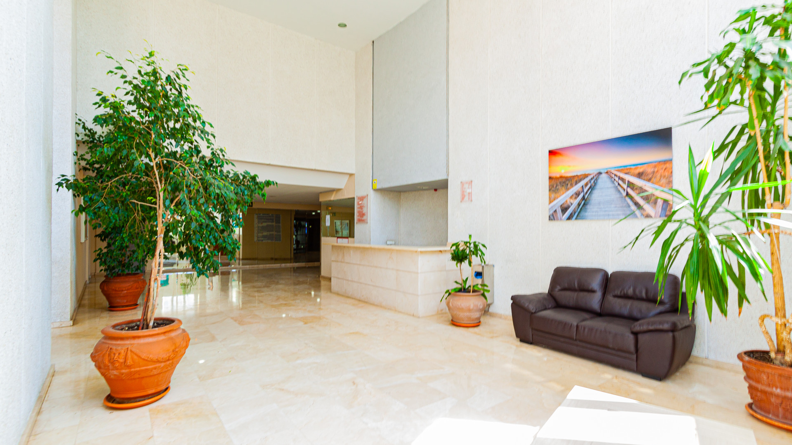 photo of Apartments on C. de Bonn, 4, 03503 Benidorm, Alicante, Spain