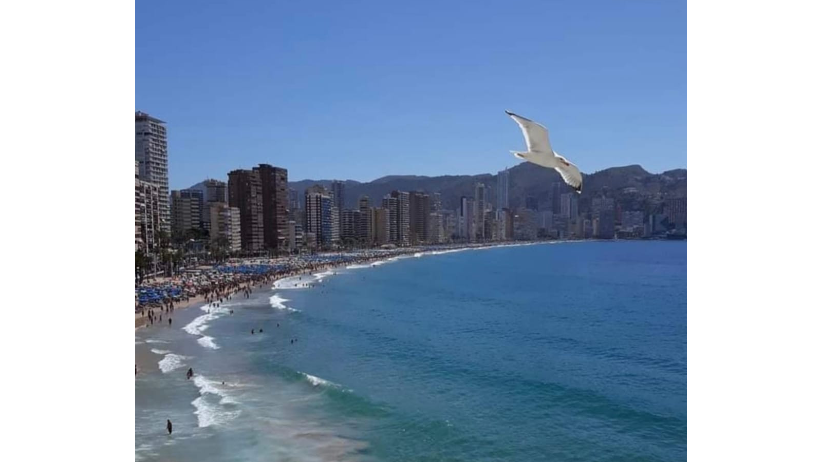photo of Apartments on C. Sierra Dorada, 3b, 03503 Benidorm, Alicante, Spain