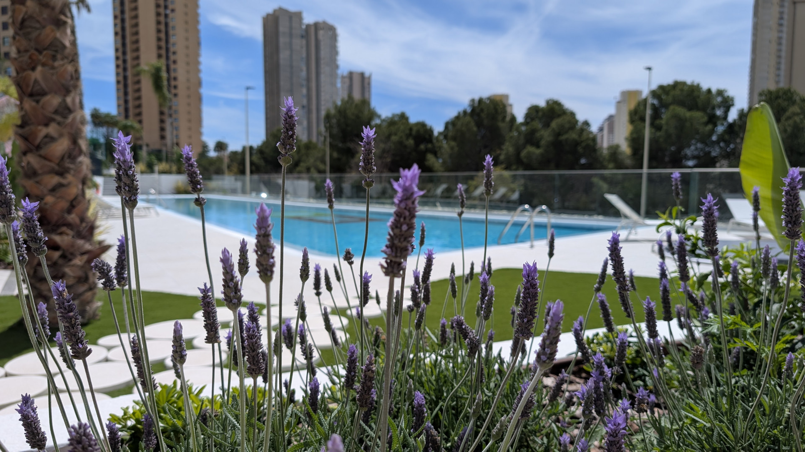 photo of Apartments on Calle Pdte. Adolfo Suárez, 14, 03502 Benidorm, Alicante, Spain